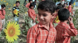 Read more about the article Golden Smiles, Golden Blooms
