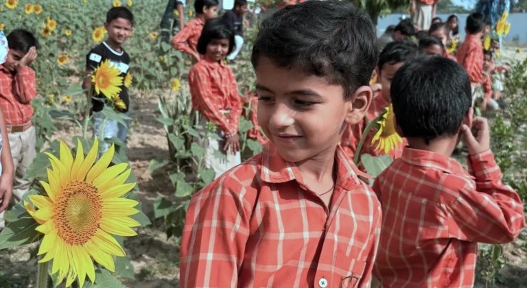 Read more about the article Golden Smiles, Golden Blooms
